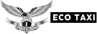 PENTICTON ECO TAXI LTD